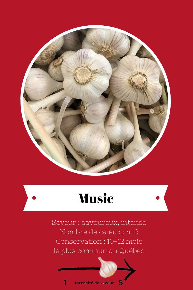 Ail-du-quebec-variete-music