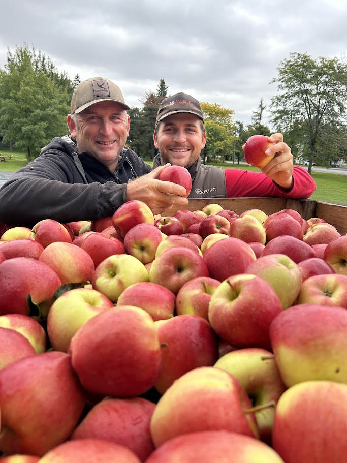 Ambrosia-Pommes-du-Quebec-Cueillette