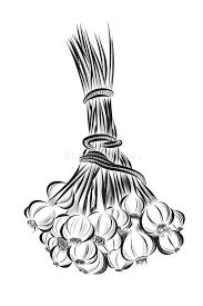 Ail du Québec : Saveurs & semences Logo