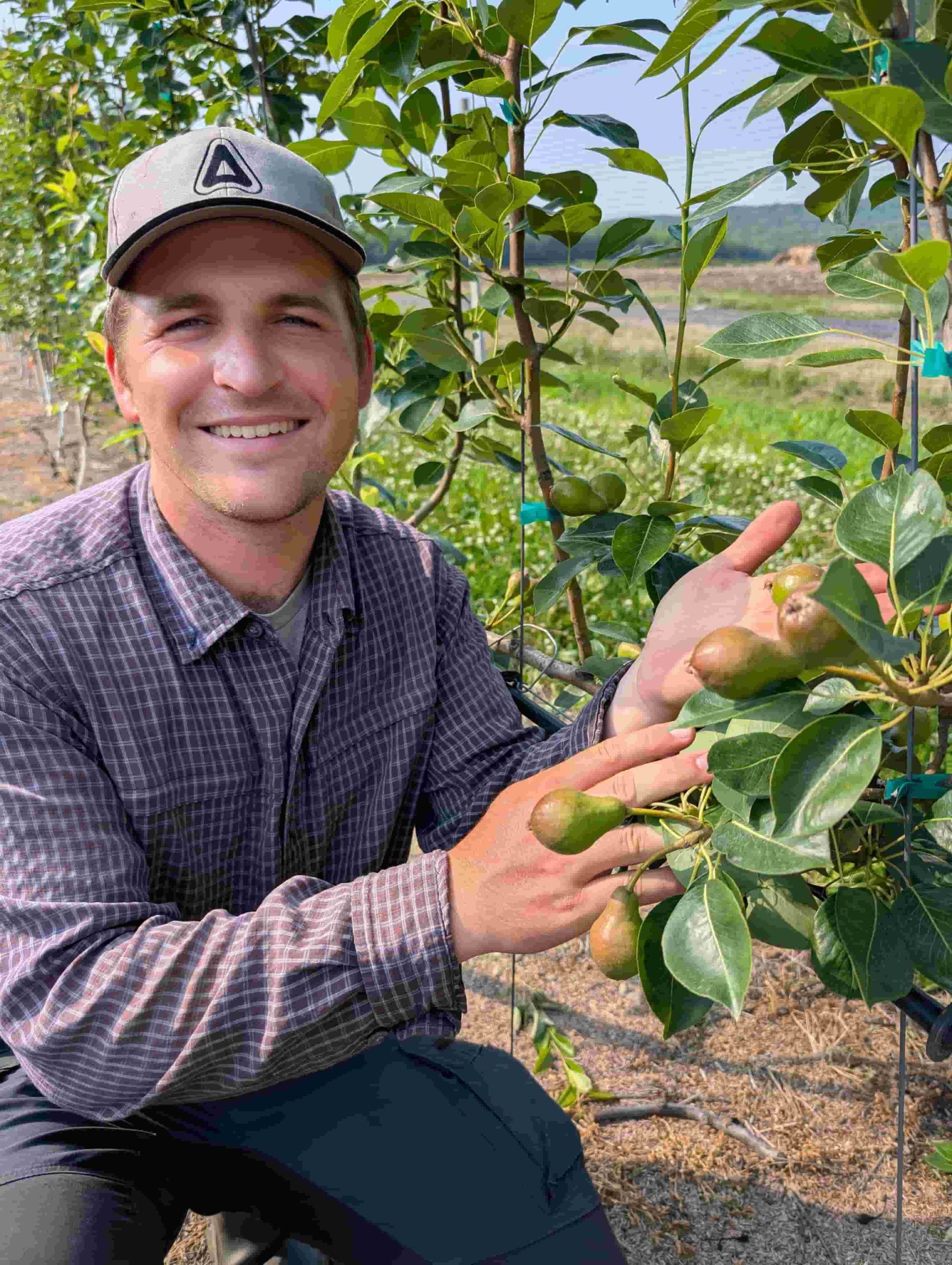 Poires-rougemont-autocueillette-gadbois