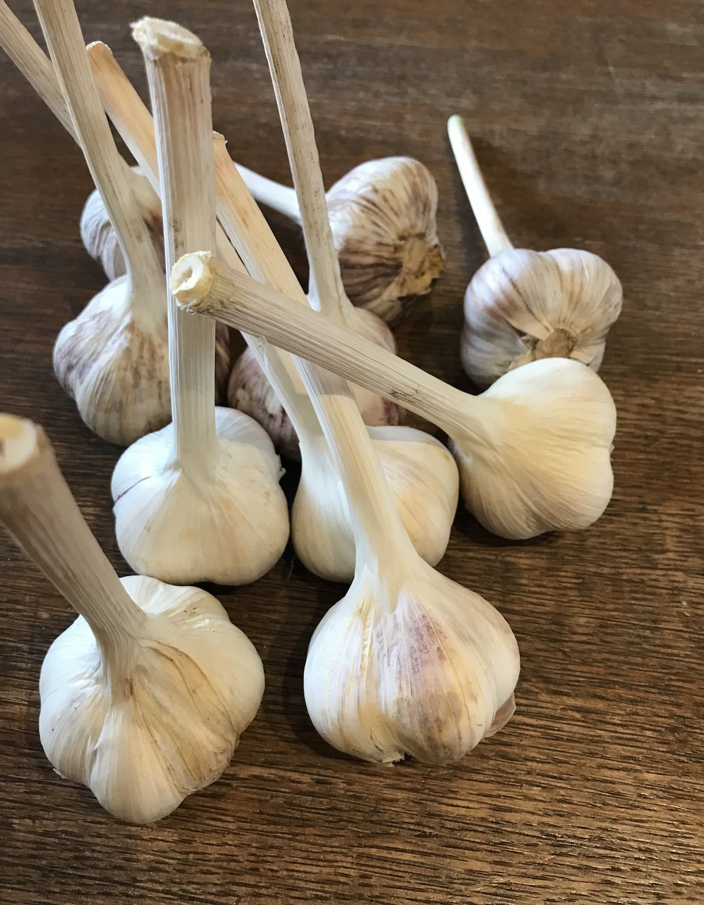 ail-sec-bulbes-sur-table-