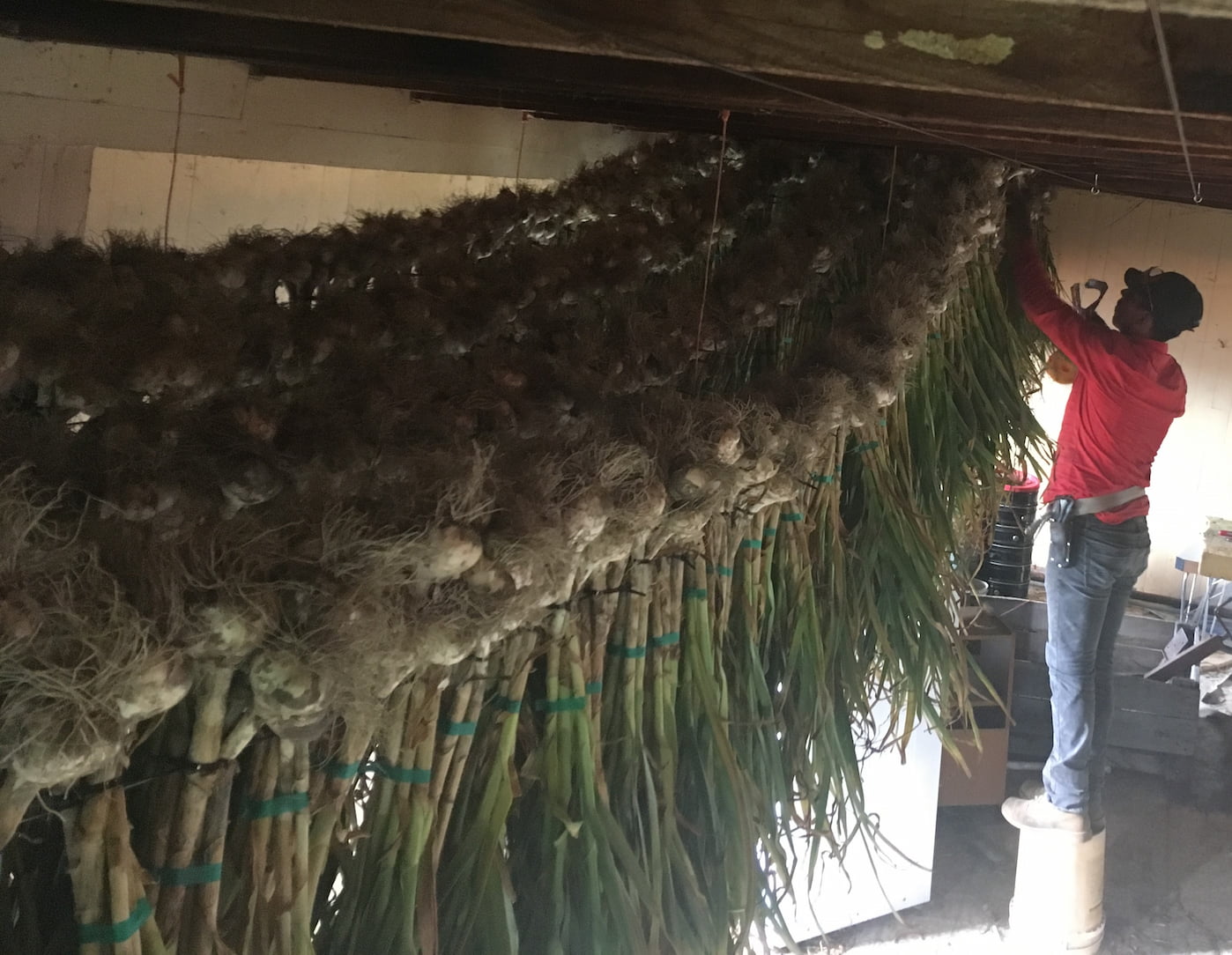 sechage-ail-quebec-accroche